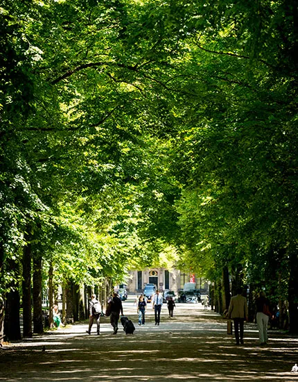 Visit the Wijn Festijn on the Lange Voorhout during your stay at Carlton Ambassador in The Hague